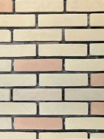 Random Traditional Kazakh Brick