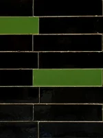 لعابی مشکی و سبز شمرخ